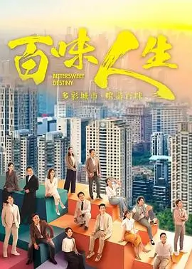 长街灯火短剧海报